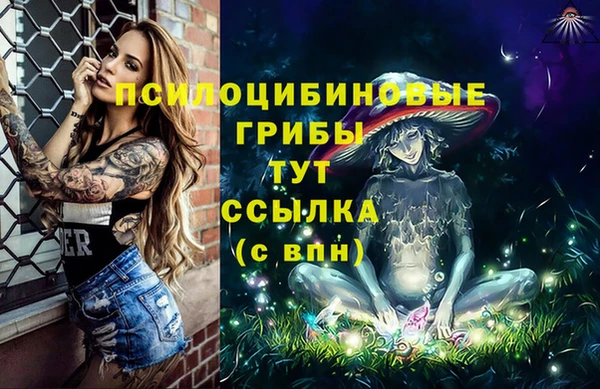ALPHA-PVP Медвежьегорск