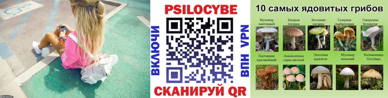 Галлюциногенные грибы мицелий  Медынь 